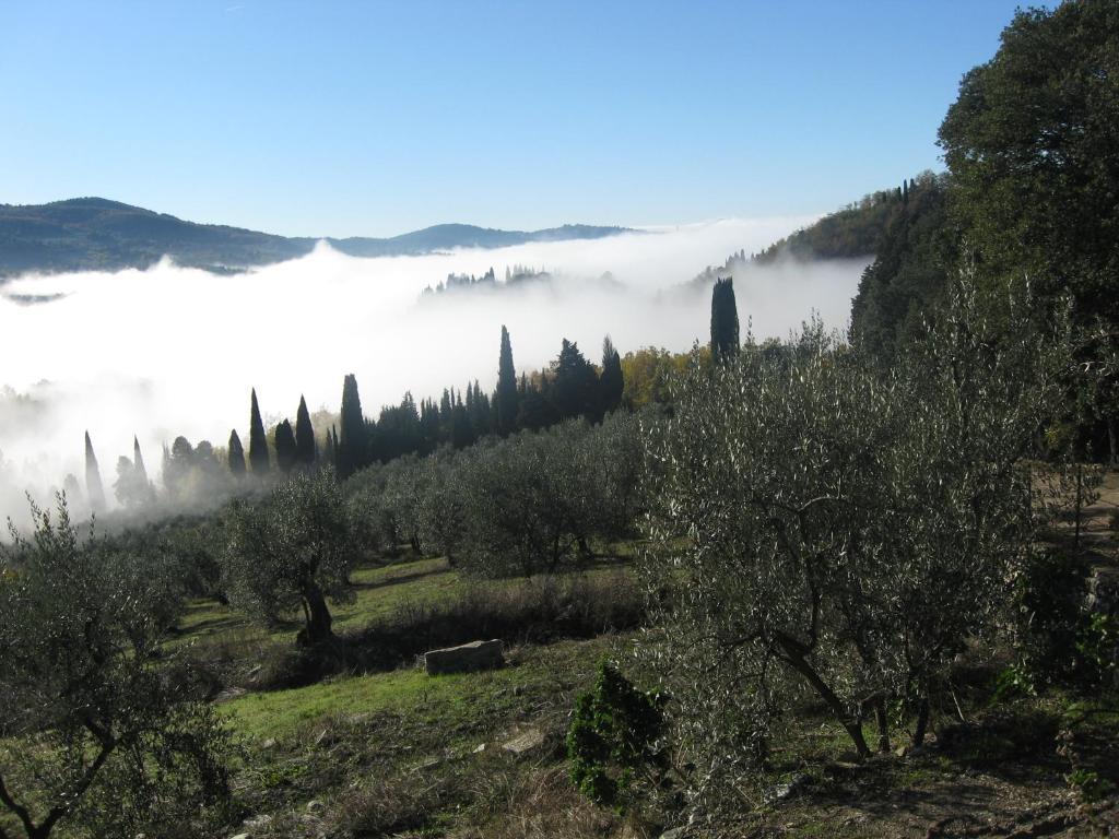 Agriturismo Villa Di Campolungo Fiesole Exterior photo