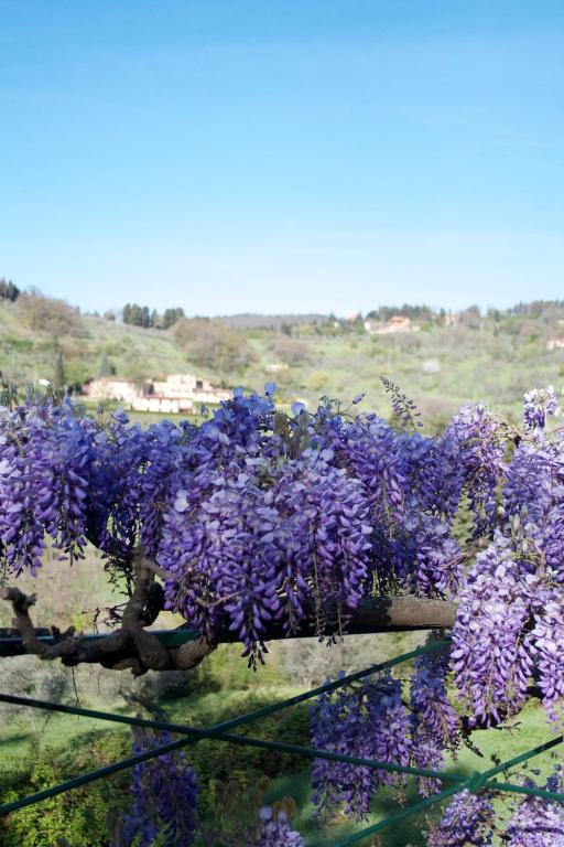 Agriturismo Villa Di Campolungo Fiesole Exterior photo